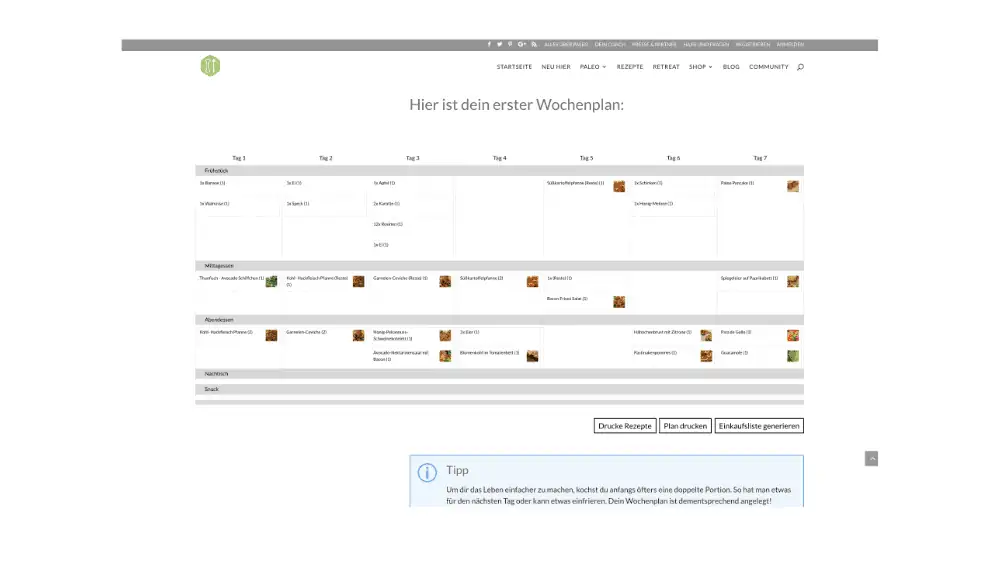 prinzip-paleo-webdesign-6